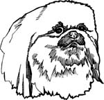 pets0107