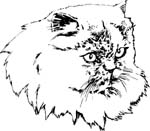 pets0108