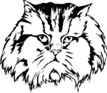 pets0109