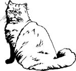 pets0111
