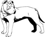 pets0112