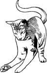 pets0113