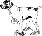 pets0114