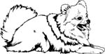 pets0115