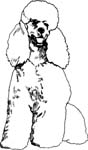 pets0116