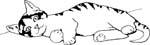pets0117