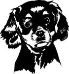pets0119
