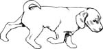 pets0120