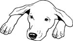 pets0122