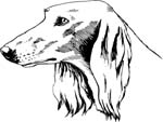 pets0125