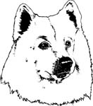 pets0126