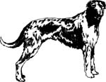 pets0127