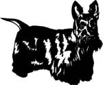 pets0128