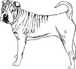 pets0131