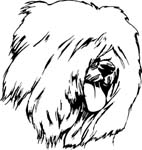 pets0133