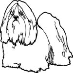 pets0134