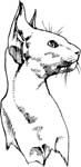 pets0136