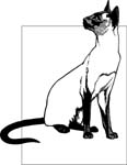 pets0137