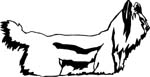 pets0139