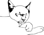 pets0142