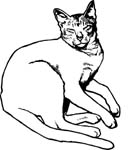 pets0143