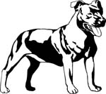pets0144