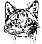 pets0145