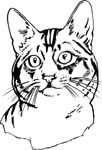 pets0146