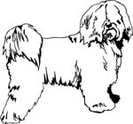 pets0147