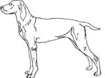pets0148