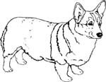 pets0150