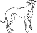 pets0153
