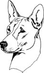 pets0158