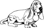 pets0161