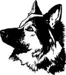 pets0163