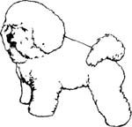 pets0164