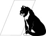 pets0165
