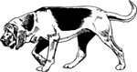 pets0168