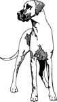 pets0214