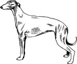 pets0216