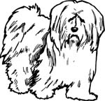 pets0218