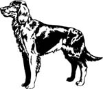 pets0219