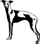 pets0220