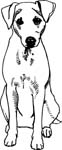 pets0221