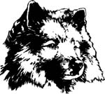 pets0222