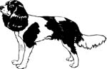pets0223