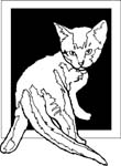pets0225