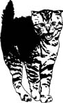 pets0227