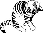 pets0228