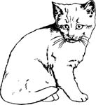 pets0229